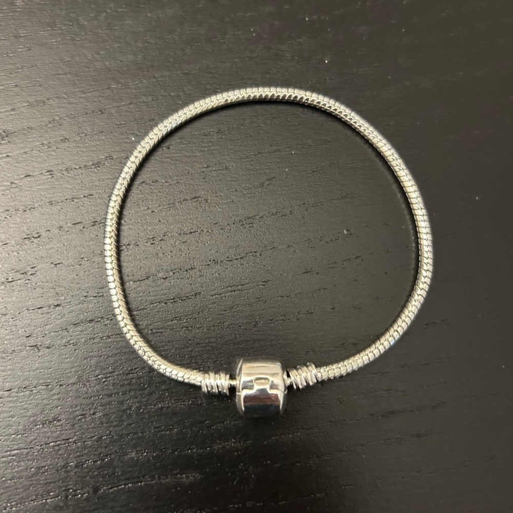 Charm Bracelet Chain